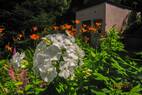 Gartenparadies (3)