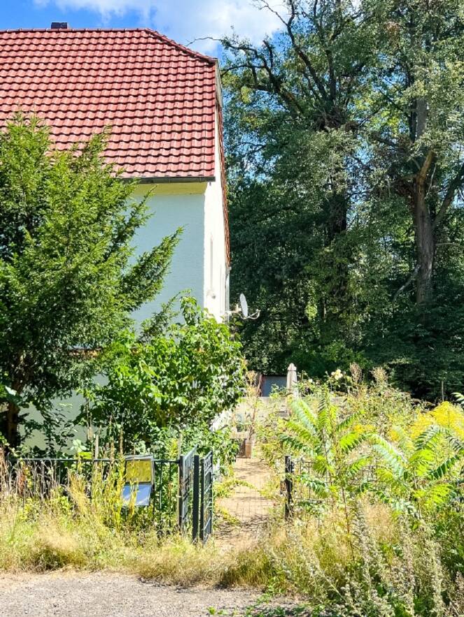 Zu Terrasse und Haust&uuml;r