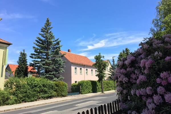Es gibt keine Goldesel? Doch, hier.