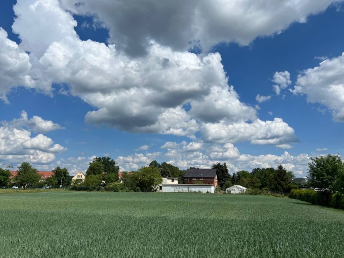 Ansicht von West