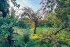 Platz zum Grasen