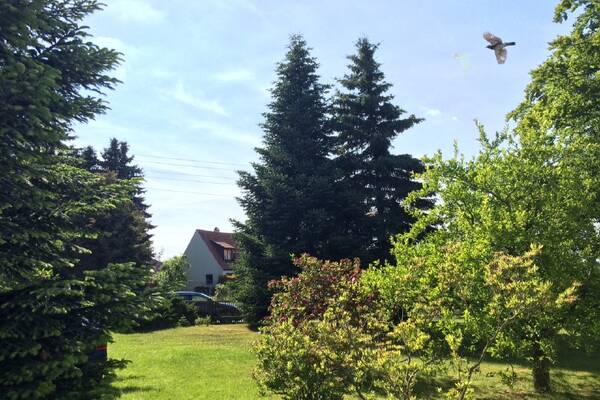 Ruhig wohnen in der Stadt