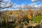 Blick nach Norden (4)