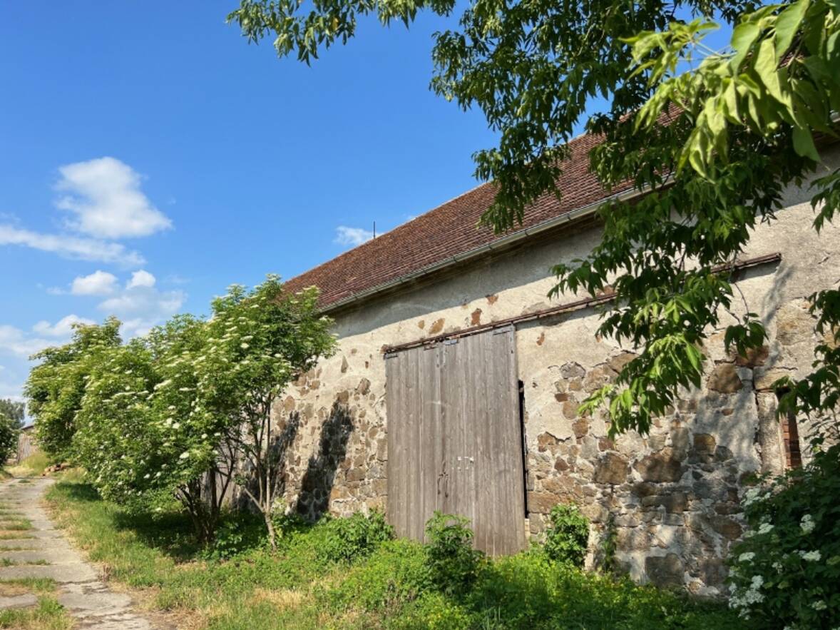 Scheunentore Gartenseite (1)