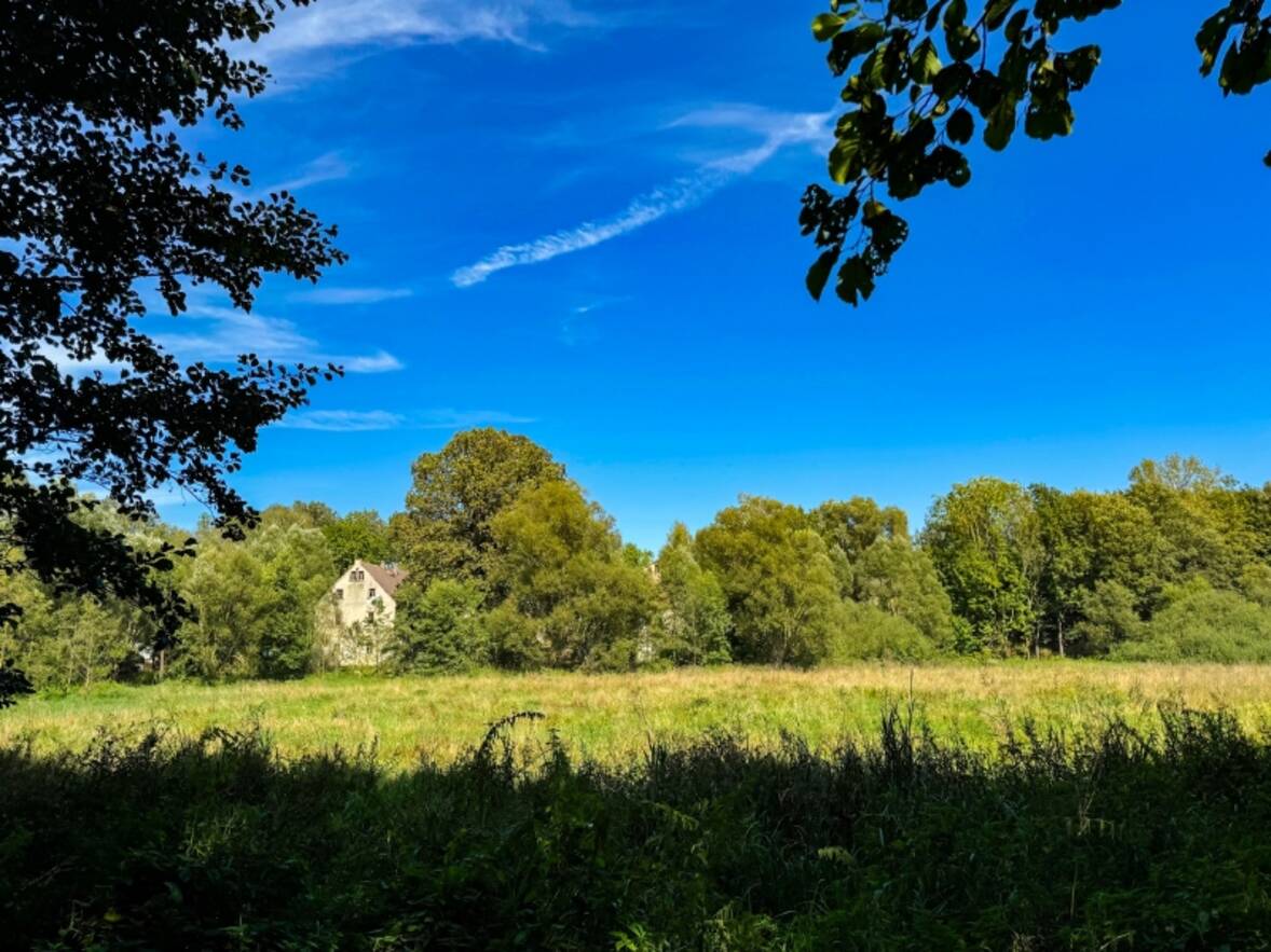 Ansicht von S&uuml;d im Sommer