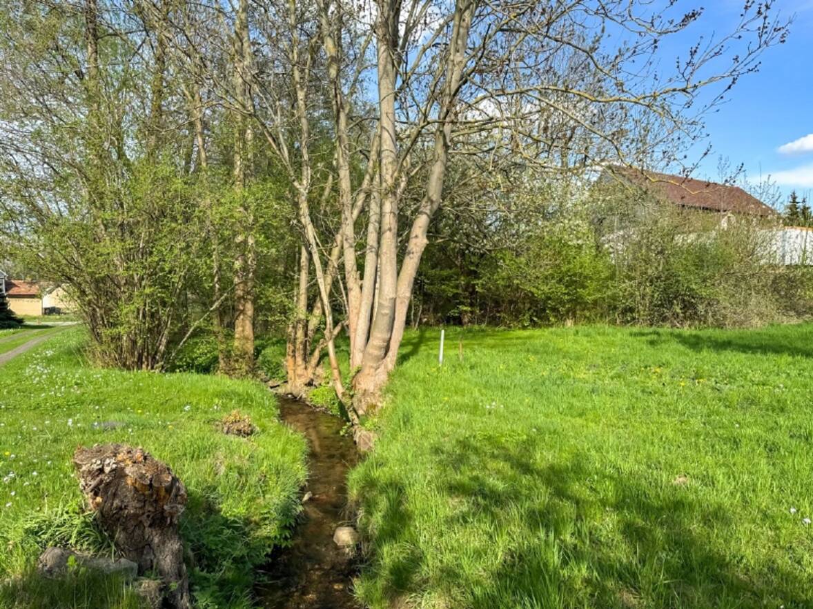 Garten auf West (1)