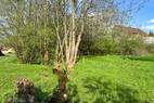 Garten auf West (1)