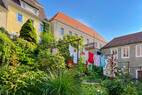 Im Garten auf S&uuml;d (2)