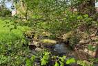 Rosenhainer wasser (2)