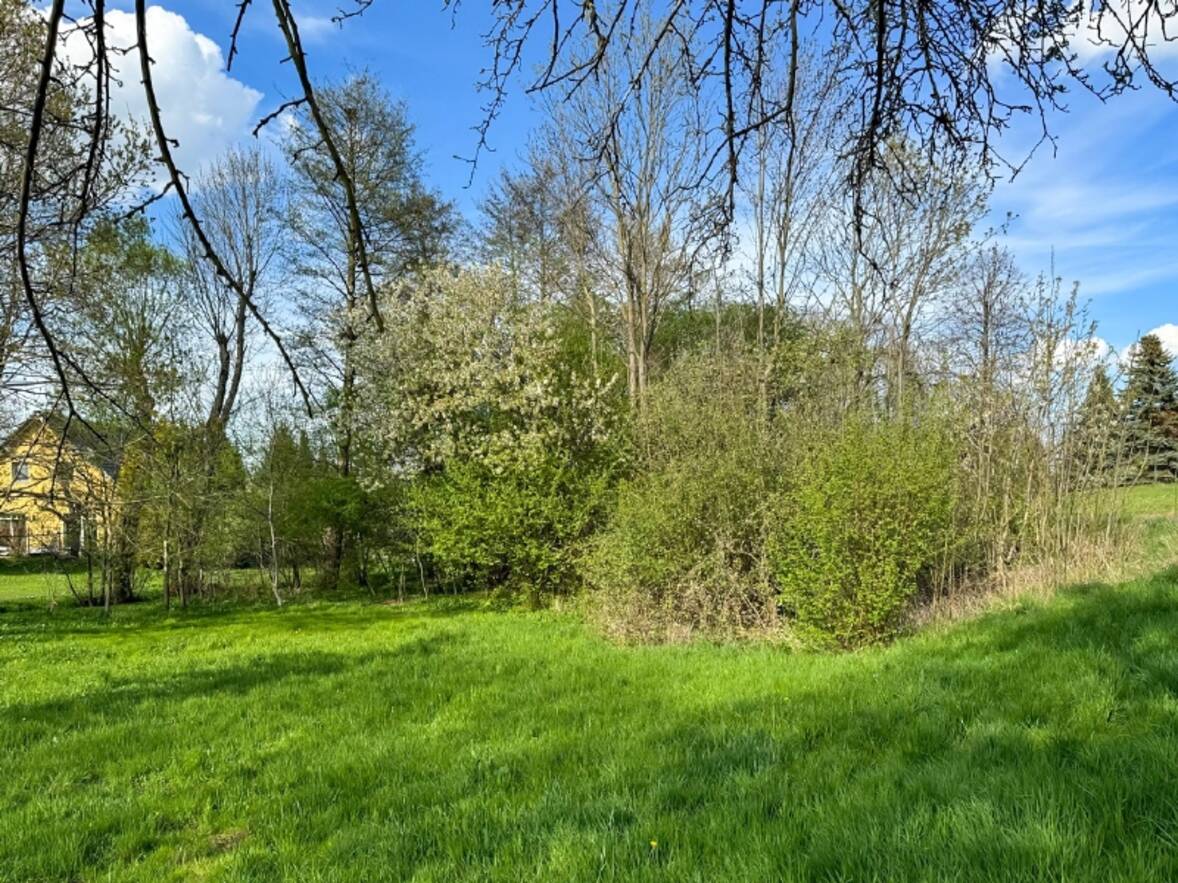 Garten von Südwest