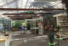 Im Gartenfachmarkt