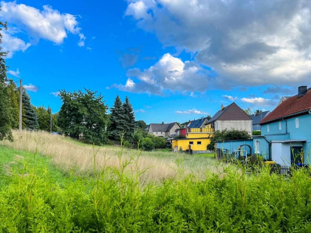 Blick auf die Wiese hinterm Haus