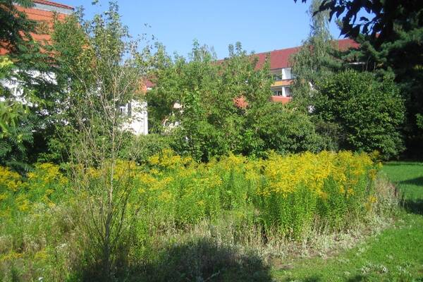 Radebeul - der ideale Ort f&uuml;r Ihre Heimat