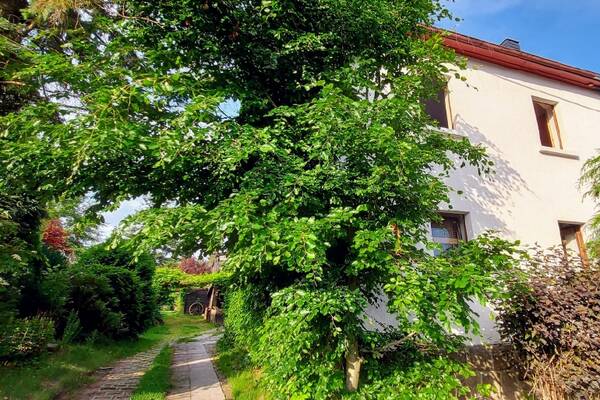 Waldnah, gr&uuml;n und gem&uuml;tlich!