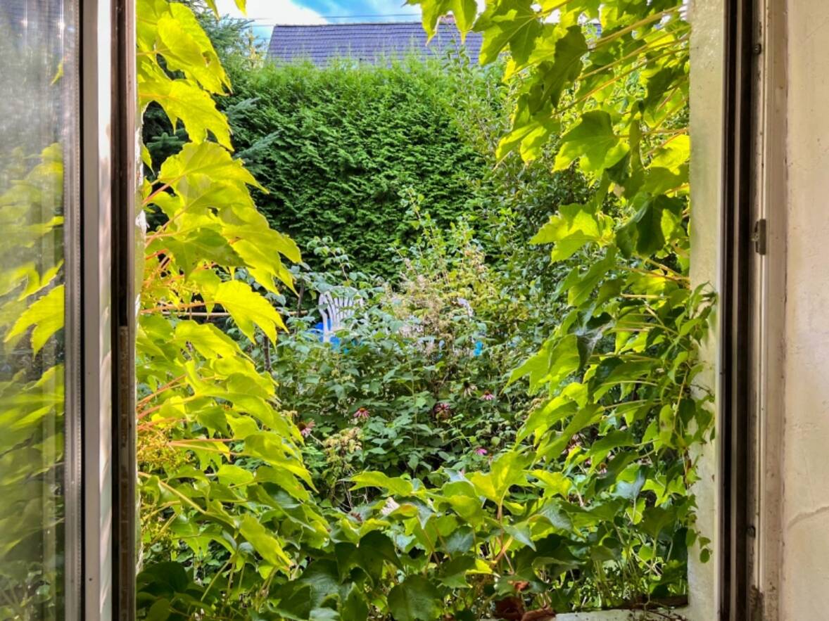 Blick in den Vorgarten auf S&uuml;dwest (1)