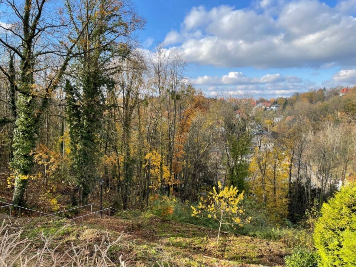 Blick nach Westen (4)