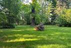 Parkidylle (3)