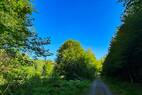 Anreise