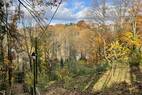 Blick nach Norden (3)