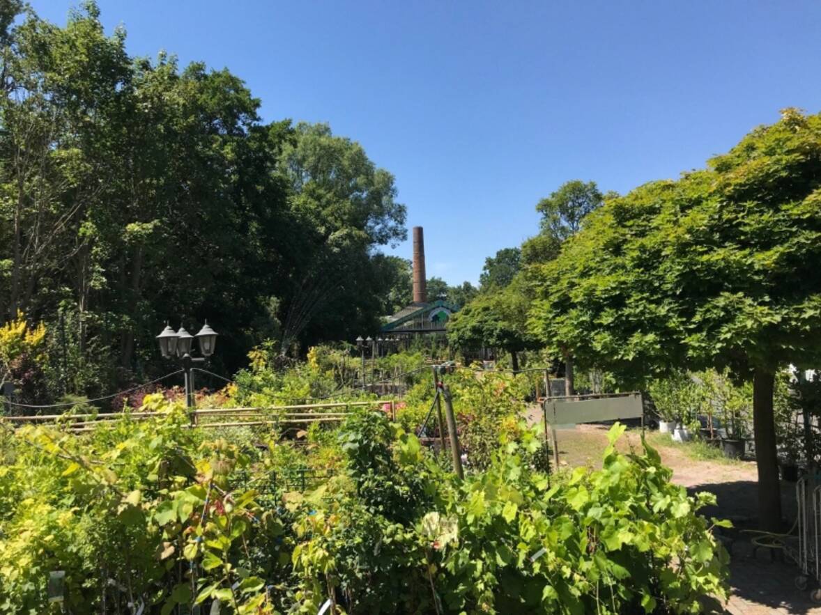 Freifläche Gartenfachmarkt 2000 m²