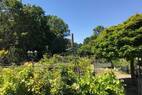 Freifläche Gartenfachmarkt 2000 m²