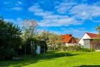 Blick in den Garten (2)