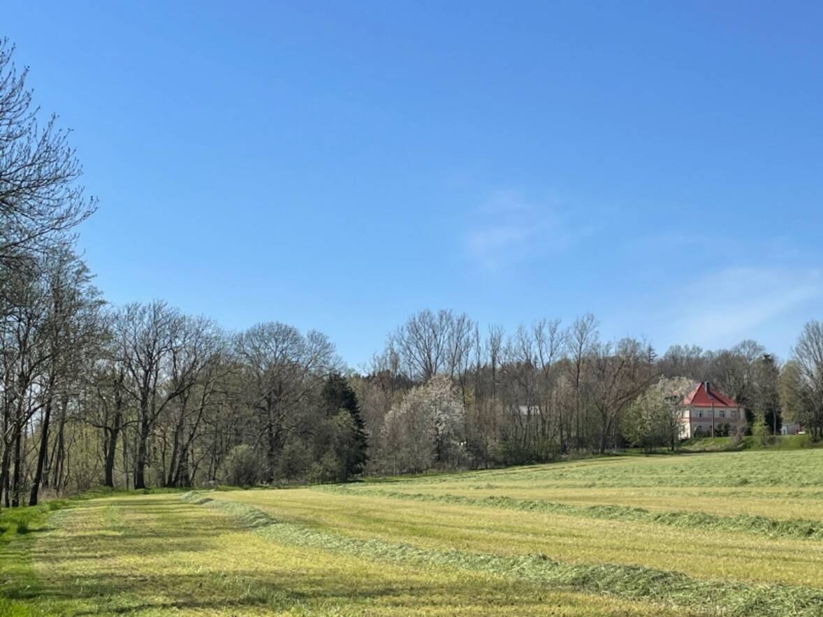 Ansicht von S&uuml;dwest im Fr&uuml;hling