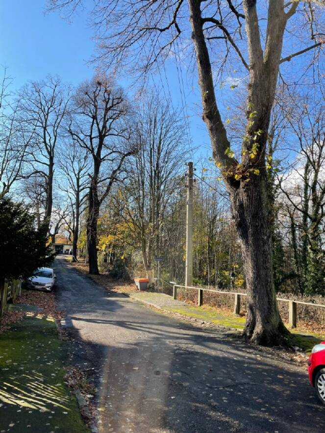 Sackgasse (2)