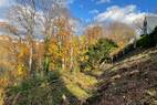 Untere Terrasse (1)