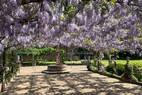 Orangerie (3)