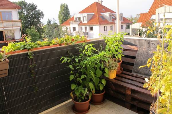 Ruhige Neubauwohnung mit Lift & Balkon