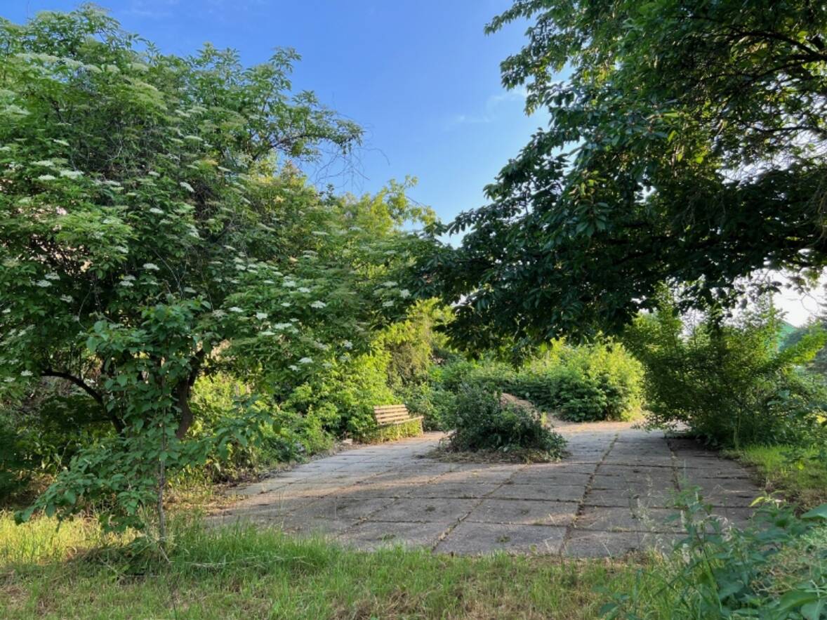Befestigte Gartenfl&auml;che