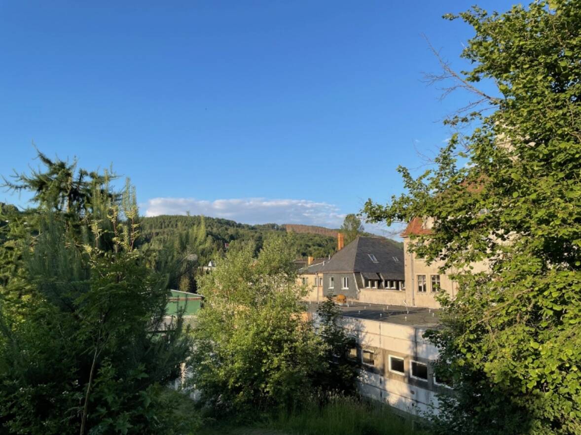 Im Gr&uuml;nen