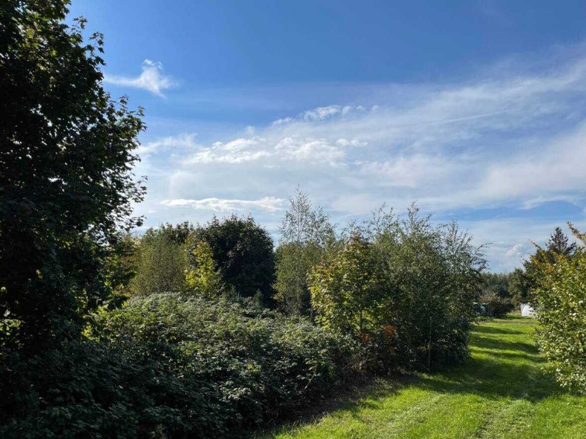 Weg an der Nordseite