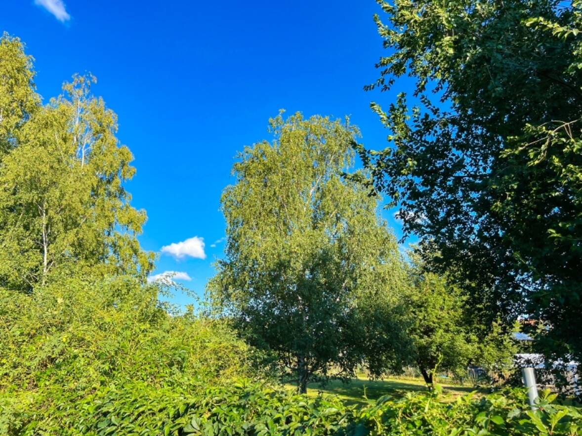 Gr&uuml;nland hinter Ihrem Wohnhaus