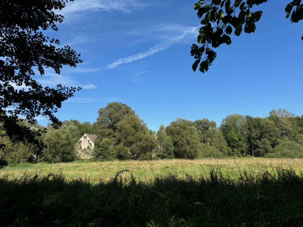 Ansicht von S&uuml;d im Sommer