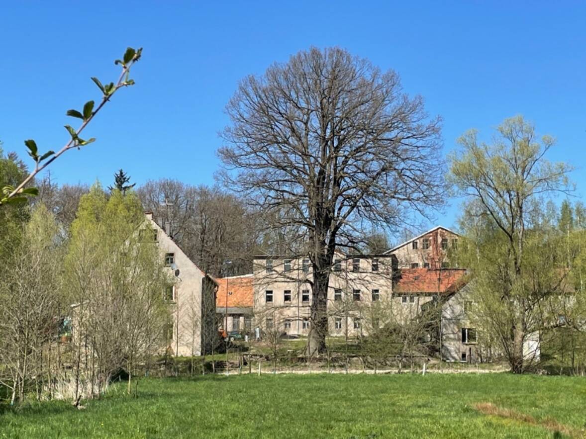 Ansicht von S&uuml;d im Fr&uuml;hling