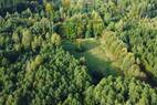 Ihre Wiese im Wald (1)