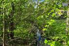 Rosenhainer Wasser (1)