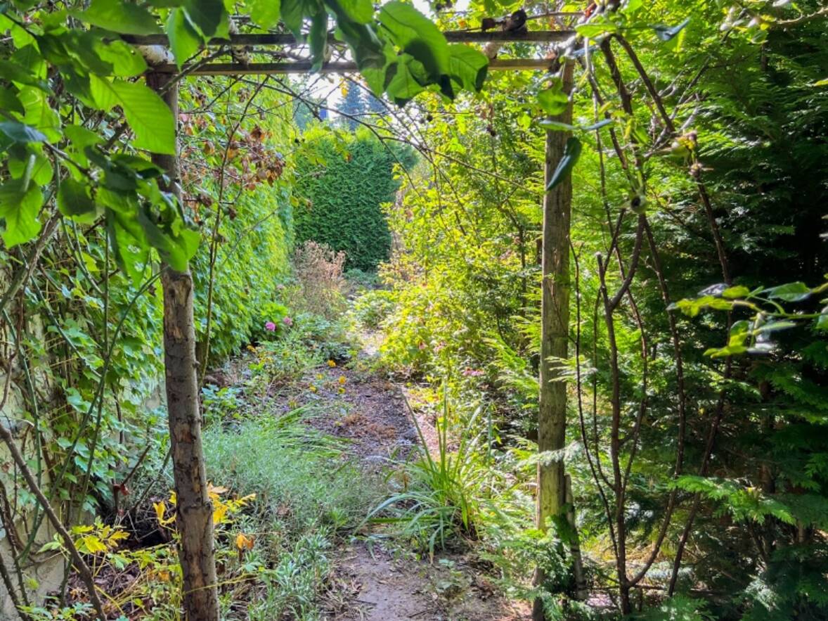 Blick in den Vorgarten auf S&uuml;dwest (2)