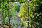 Blick in den Vorgarten auf S&uuml;dwest (2)