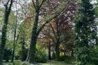 Parkidylle (11)