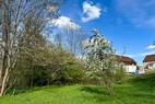 Garten auf West (2)