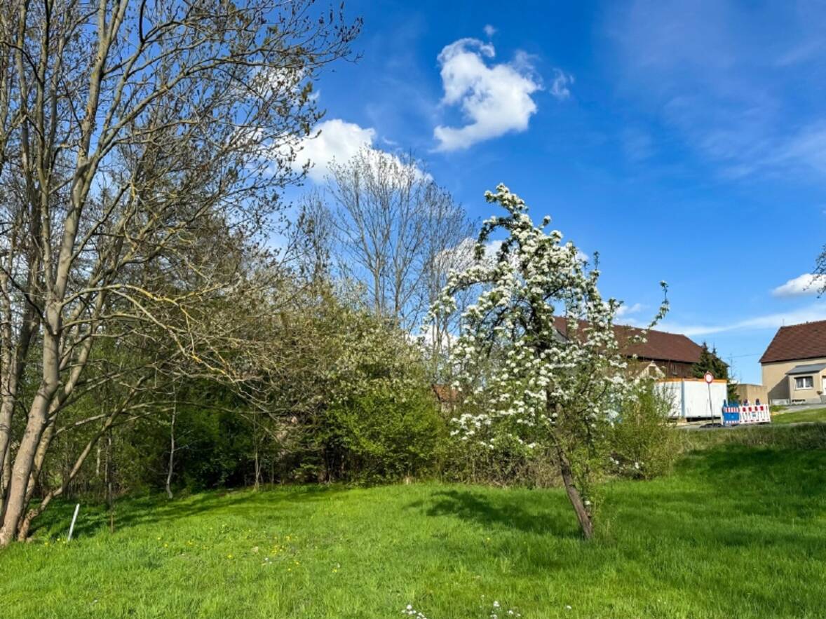 Garten auf West (2)