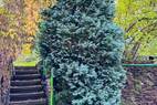 Zugang zum Garten